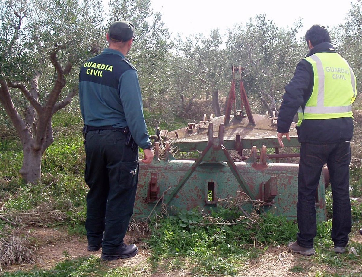 La Guardia Civil Desmantela Un Grupo Delictivo Dedicado A La