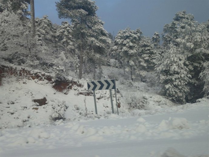 Nieve, nevada, frío