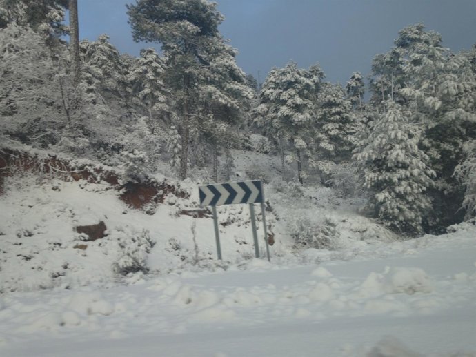 Nieve, nevada, frío