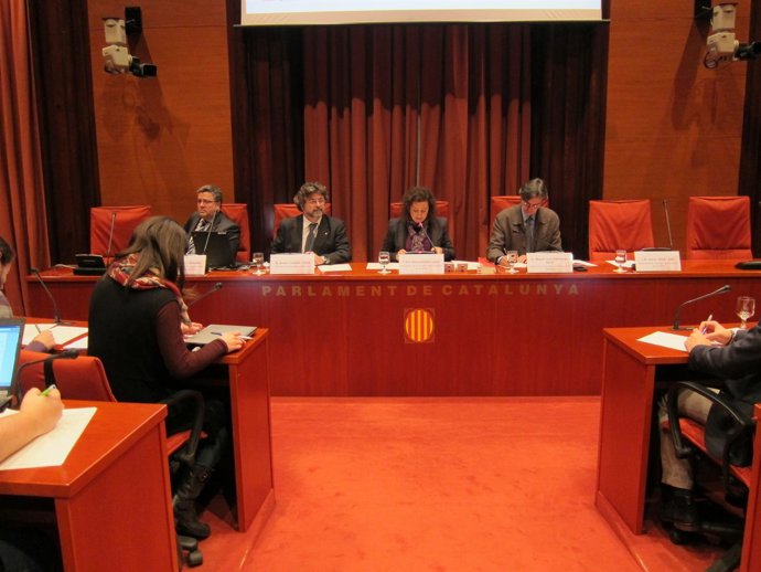 Comisión de Políticas de Juventud del Parlament