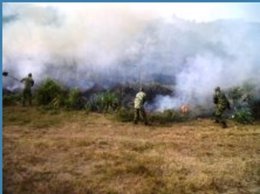 Incendio en un parque natural de Colombia