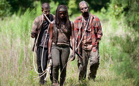 The Walking Dead, Michonne