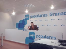 El portavoz del Partido Popular en el Parlamento de Andalucía, Carlos Rojas,