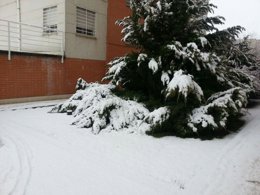 NIEVE EN CUENCA, TEMPORAL, FRÍO
