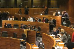 Pleno de la Junta General