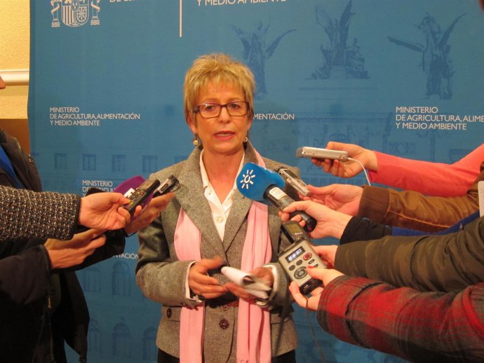 La consejera andaluza de Agricultura, Elena Víboras