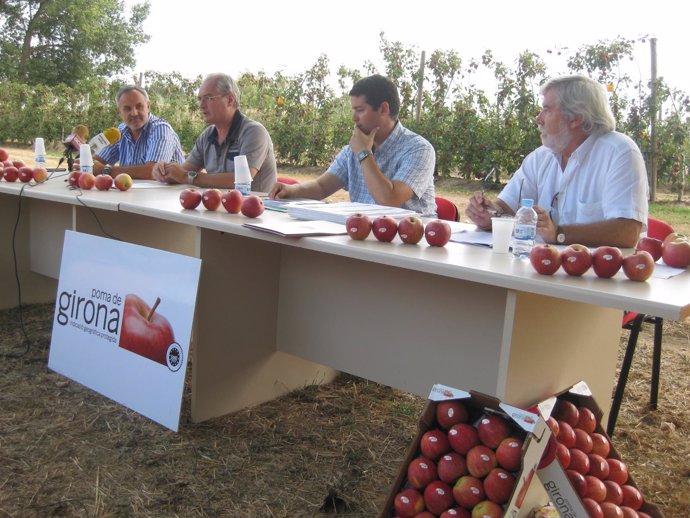 Acto de presentación de la previsión de la cosecha de manzana de Girona 2012