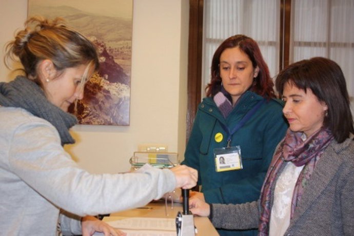 Consejo Andaluz de Participación en el Parlamento