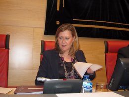 Pilar del Olmo en su comparecencia en las Cortes