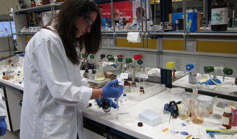 Investigación