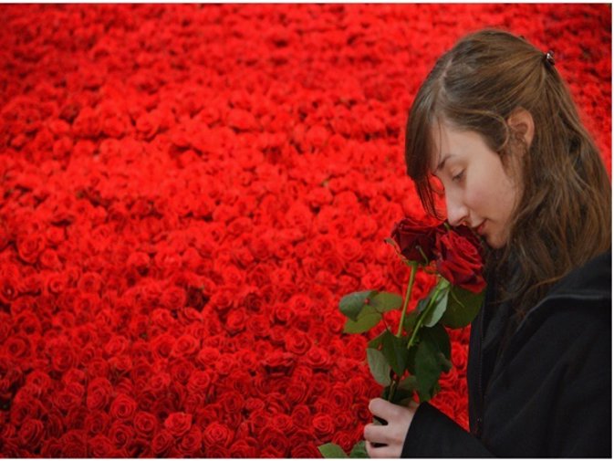 San Valentín y la tradición de las rosas rojas