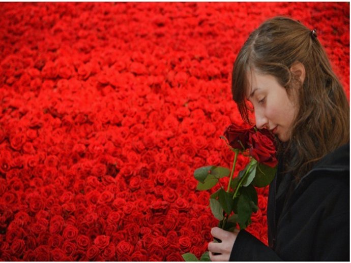 San Valentín y la tradición de las rosas rojas