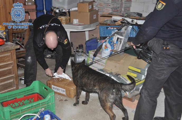 Agentes y un perro policía registrando una de las viviendas