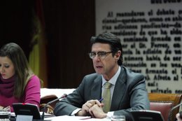 El ministro Soria en el Senado