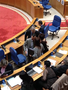 La conselleira Rocío Mosquera en el pleno