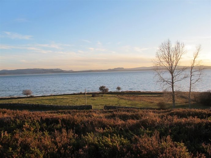 Orilla del embalse del Ebro