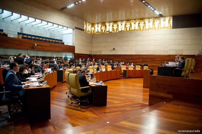 Pleno del Parlamento de Extremadura