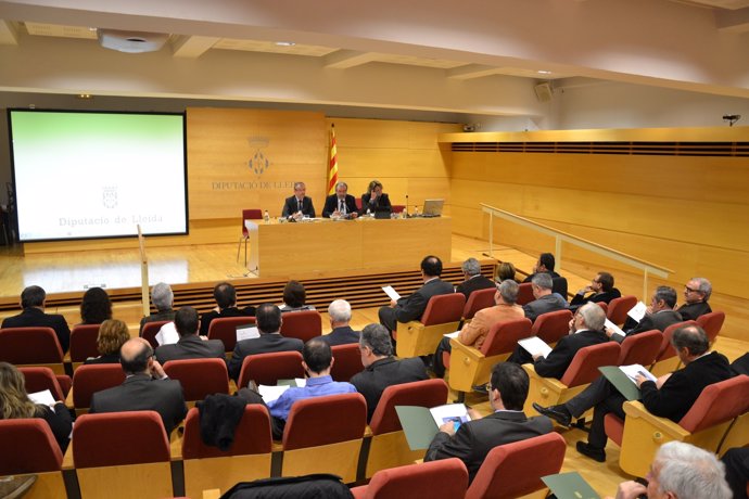 Lleida anima a los ayuntamientos a llevar al TC la ley local del Gobierno