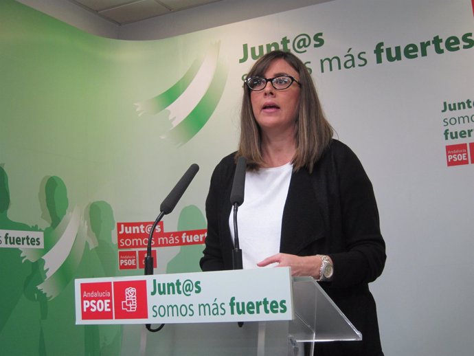 La diputada socialista María José Rodríguez. 