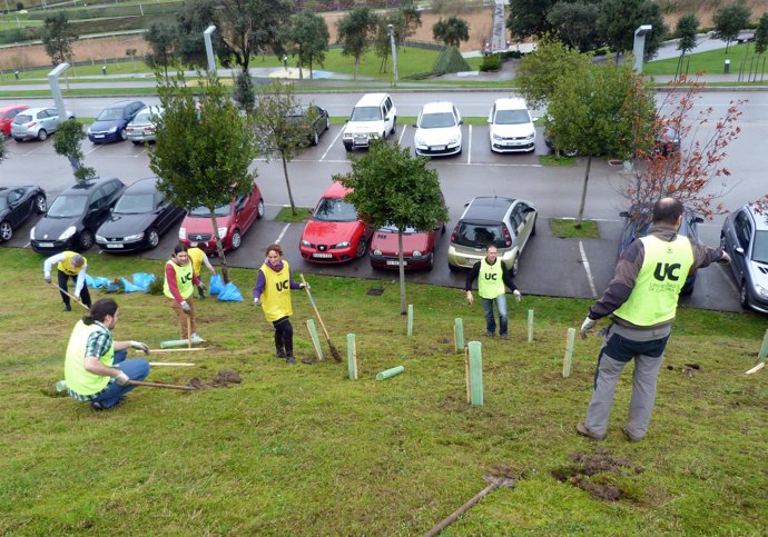 Voluntarios plantan árboles en el campus