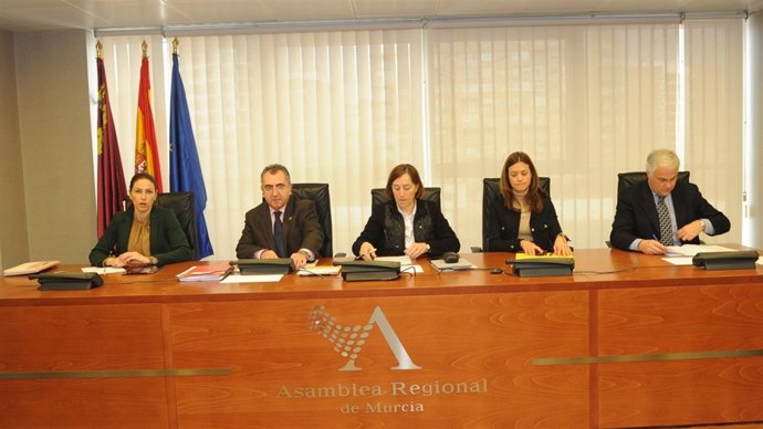 Comparecencia Campos Comisión