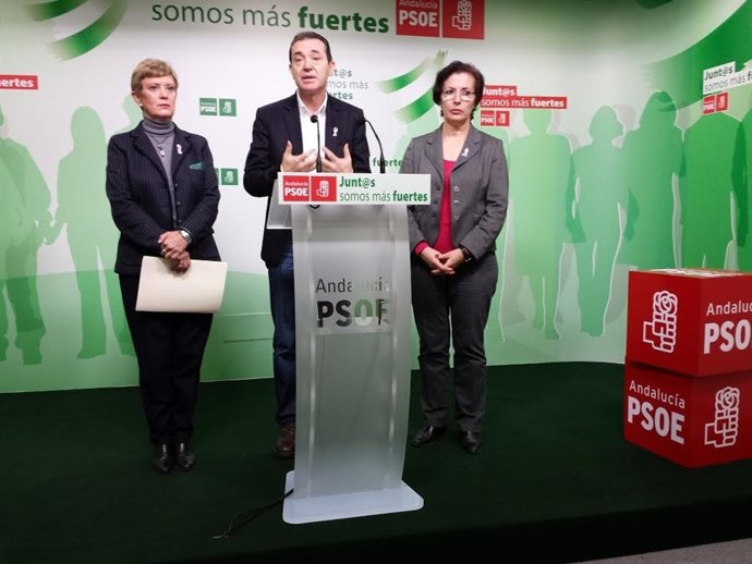 Pérez Navas, en rueda de prensa