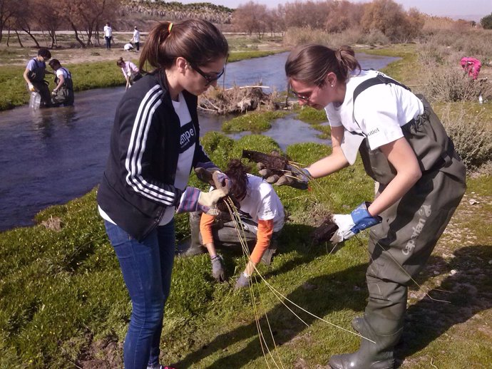 Voluntarios mejoran el río Vinalopó