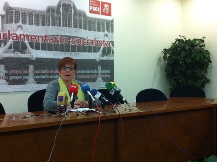 García Retegui en rueda de prensa en la Asamblea