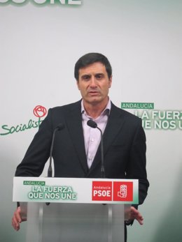 Fernández, durante la rueda de prensa ofrecida en Cádiz