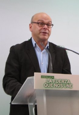 Manuel Fernández Palomino