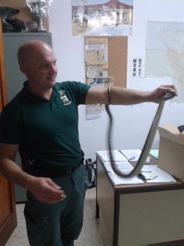 Un agente, con la serpiente