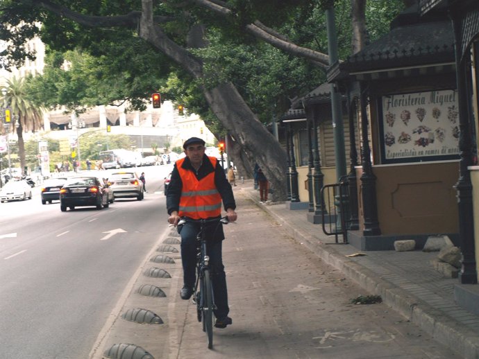 Zorrilla circula por el carril bici de la Alameda Principal. 