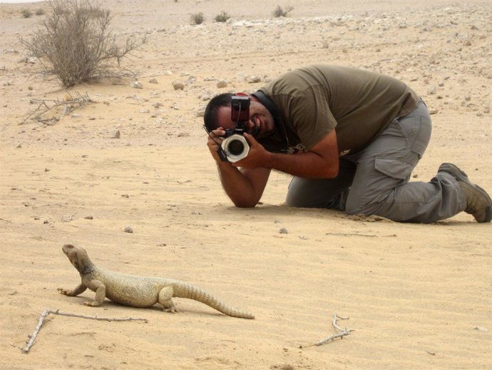 El investigador Aitor Valdeón fotografía a un lagarto de cola espinosa
