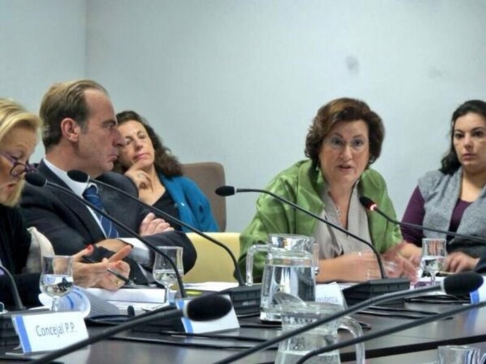 La delegada de Urbanismo, Paz González