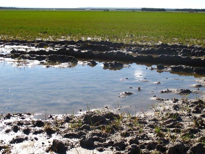 Campo inundando por temporales 