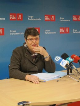 La diputada del PSdeG Marisol Soneira