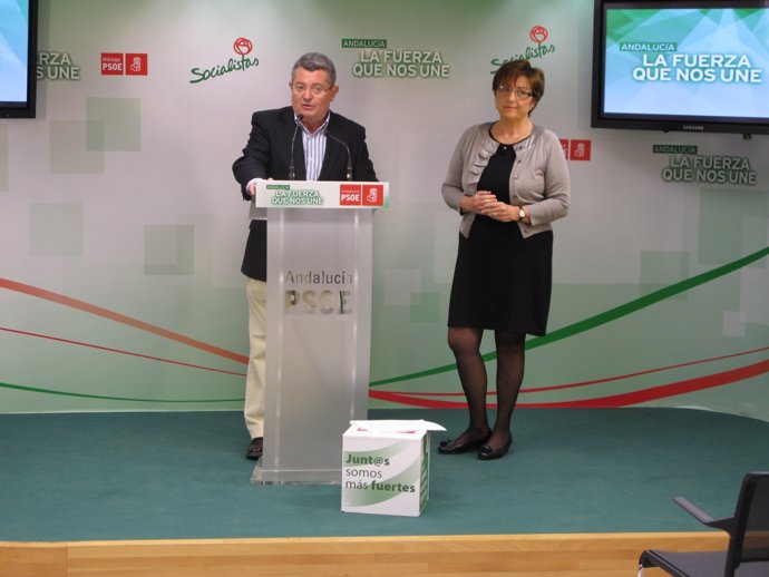 Jesús María Ruiz portavoz sanidad psoe parlamento andalucia y bustinduy