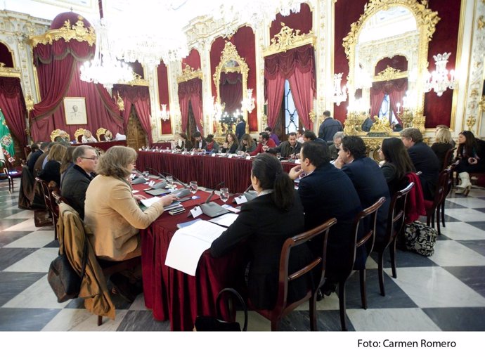 Pleno Ordinario de febrero de la Diputación de Cádiz