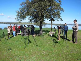 Despedida de las grullas