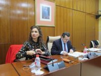 La Junta, satisfecha por el cumplimiento de déficit pese a ser "muy doloroso"