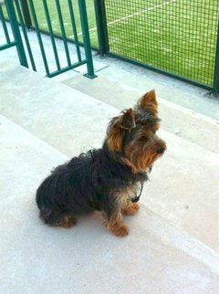 Cooperación y Desarrollo