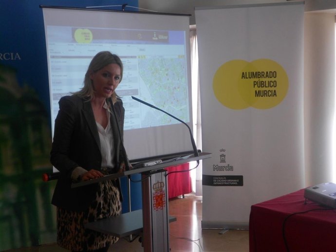 Presentación del servicio