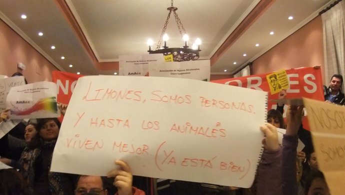Imagen del pleno de Alcalá de Guadaíra del 20 de febrero.