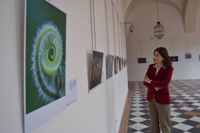 Pilar Gracia observa una de las fotografías de la exposición