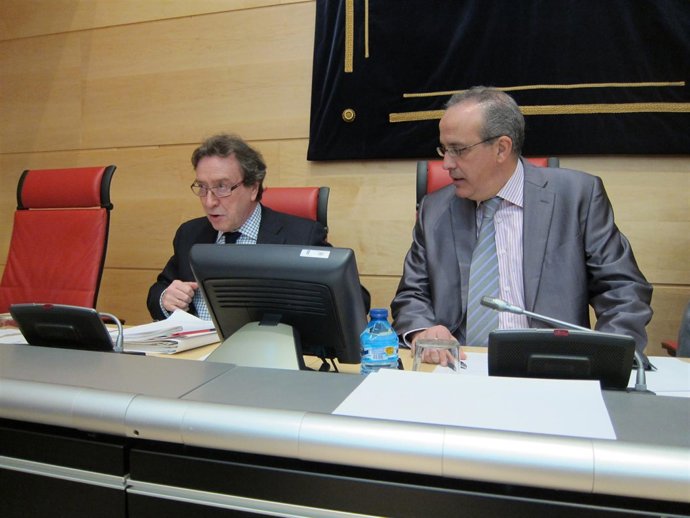 El consejero durante la comparecencia