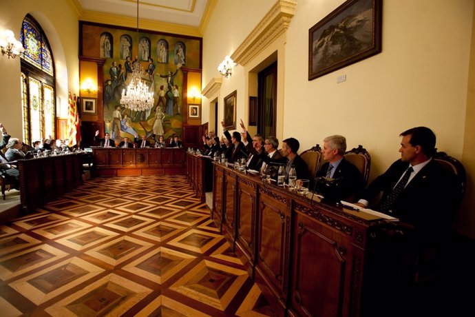 El pleno de la Diputación de Lleida vota una moción contra la ley del aborto