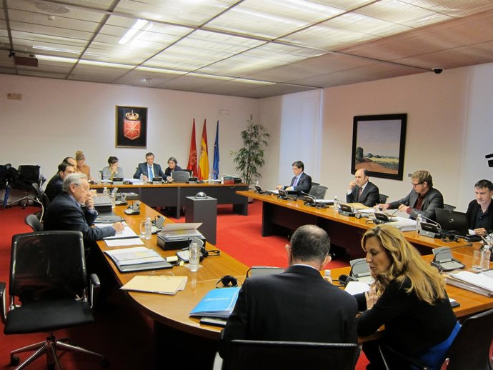 Idoia Nieves en la comisión de investigación.