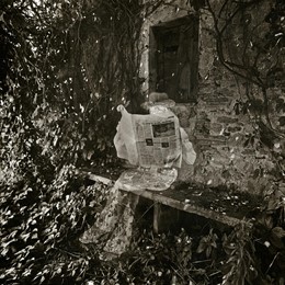 Joan Fontcuberta