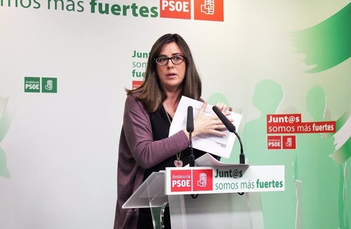 La diputada socialista María José Rodríguez.