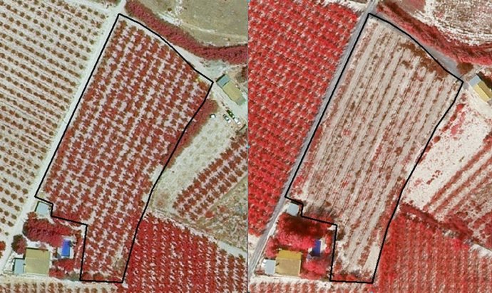 Vista de las parcelas